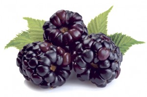 blackberries